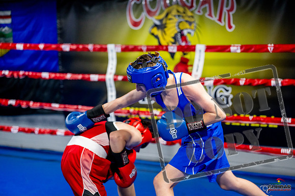 Cougar boxing June 7th 2025-0536