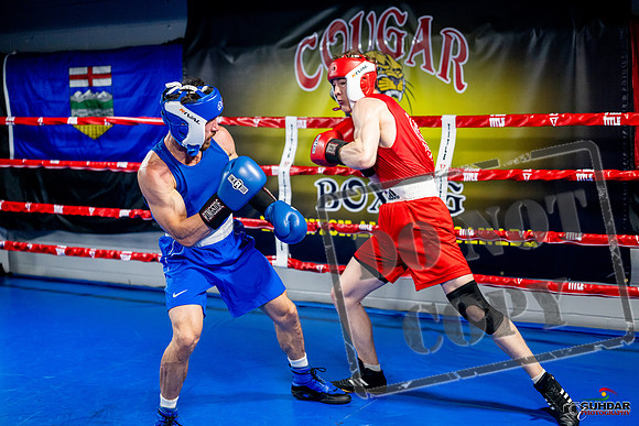 Cougar boxing June 7th 2025-0391