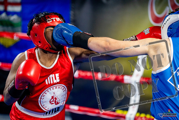 Cougar boxing June 7th 2025-0346