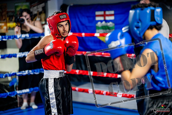Cougar boxing June 7th 2025-0202