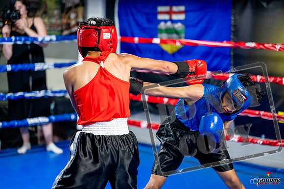 Cougar boxing June 7th 2025-0241