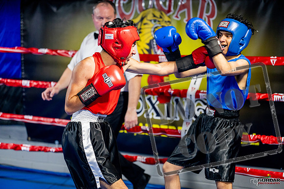 Cougar boxing June 7th 2025-0219