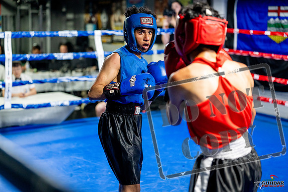 Cougar boxing June 7th 2025-0258