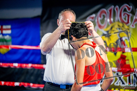 Cougar boxing June 7th 2025-0285