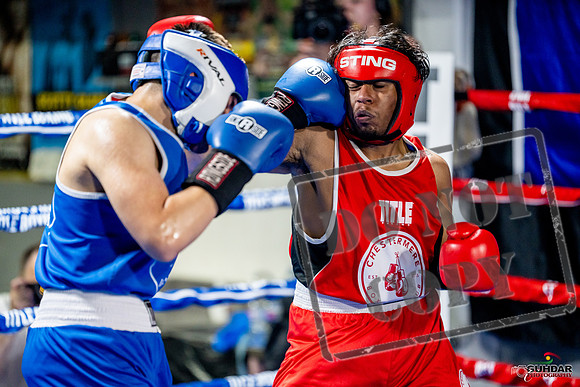 Cougar boxing June 7th 2025-0354