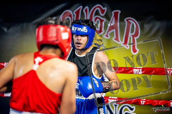 Cougar boxing June 7th 2025-0611