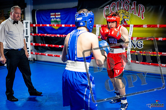 Cougar boxing June 7th 2025-0539