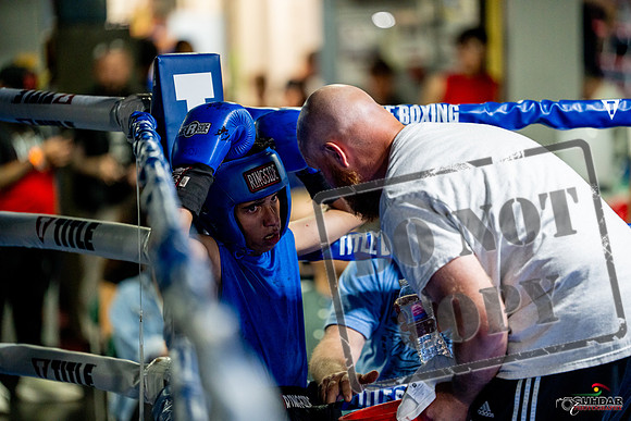 Cougar boxing June 7th 2025-0240