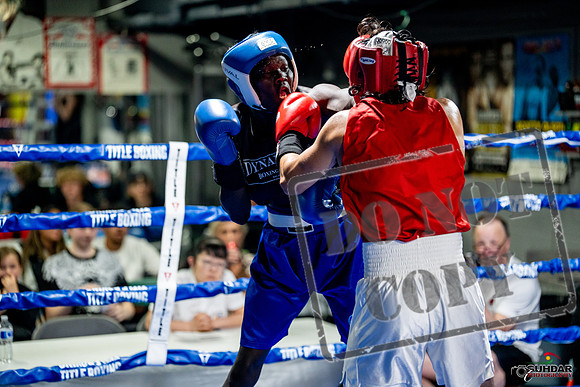Cougar boxing June 7th 2025-0498