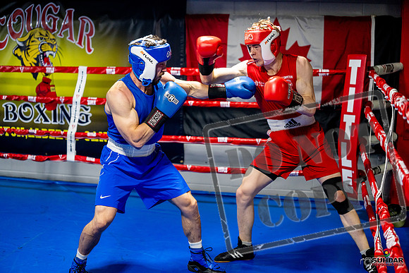 Cougar boxing June 7th 2025-0381