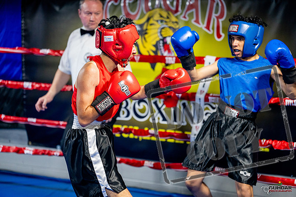 Cougar boxing June 7th 2025-0220