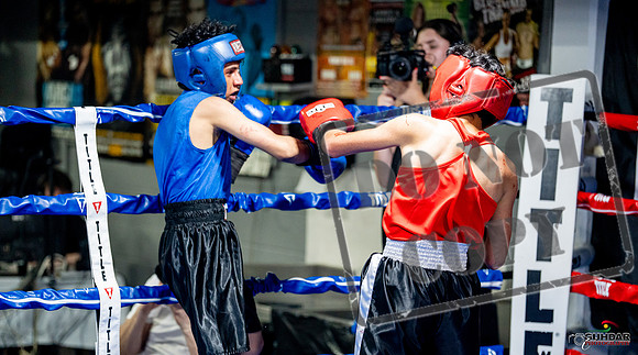 Cougar boxing June 7th 2025-0264