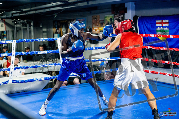 Cougar boxing June 7th 2025-0423