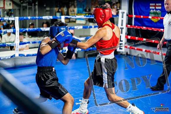 Cougar boxing June 7th 2025-0205