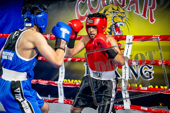 Cougar boxing June 7th 2025-0591