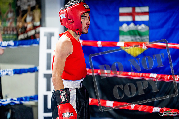 Cougar boxing June 7th 2025-0231