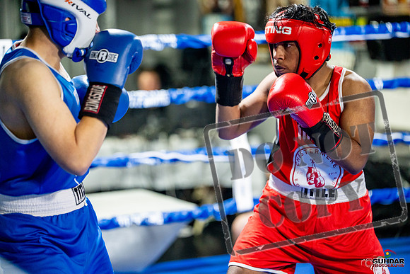 Cougar boxing June 7th 2025-0313