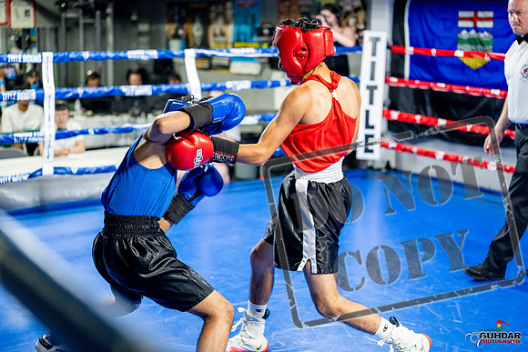 Cougar boxing June 7th 2025-0204