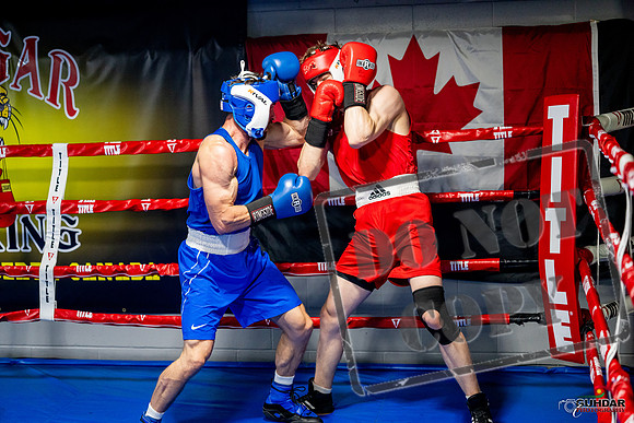 Cougar boxing June 7th 2025-0394