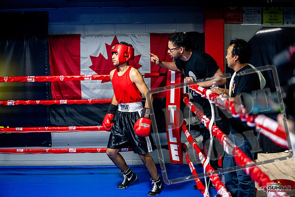 Cougar boxing June 7th 2025-0568