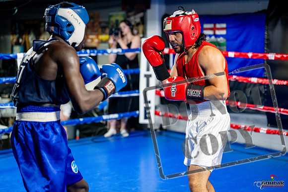 Cougar boxing June 7th 2025-0469