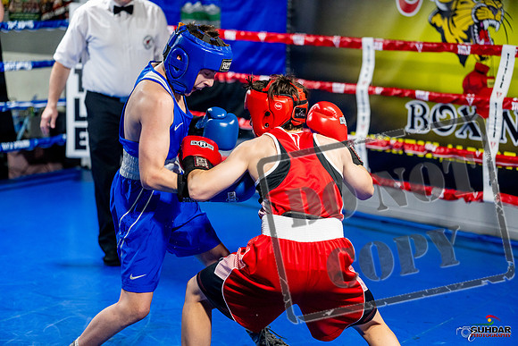 Cougar boxing June 7th 2025-0531