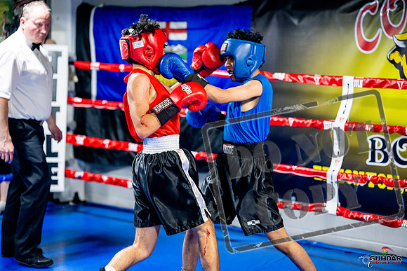 Cougar boxing June 7th 2025-0276