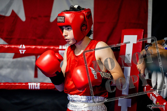Cougar boxing June 7th 2025-0939