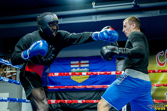 Cougar Boxing-0004
