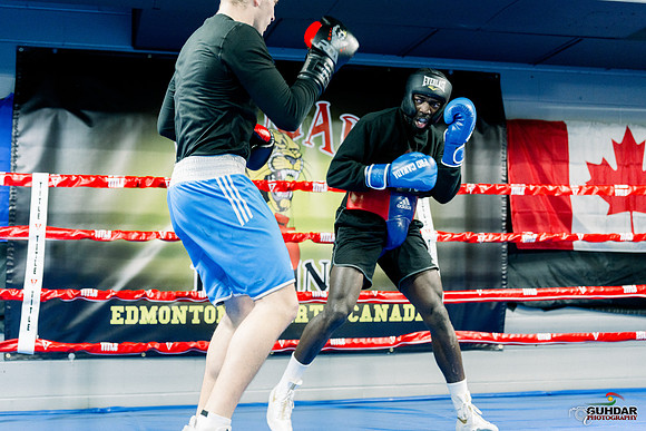 Cougar Boxing-0005