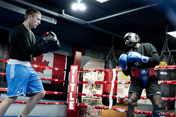 Cougar Boxing-0006