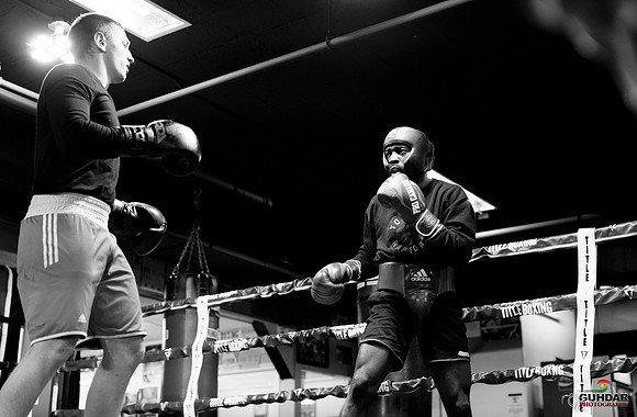 Cougar Boxing-0009