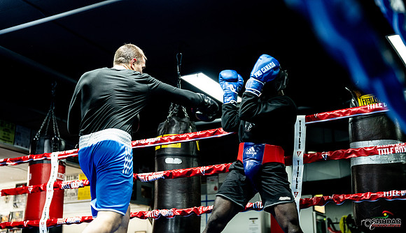 Cougar Boxing-0010