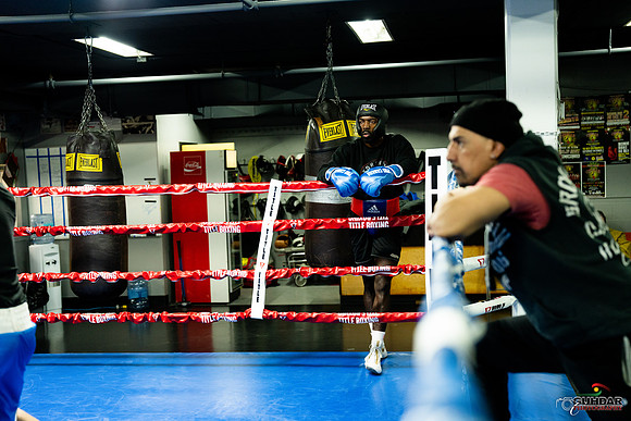 Cougar Boxing-0023