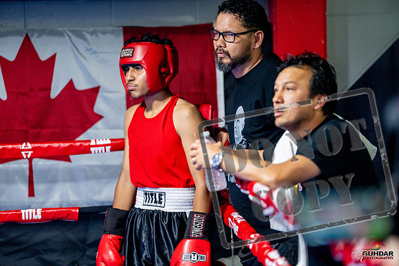 Cougar boxing June 7th 2025-0572