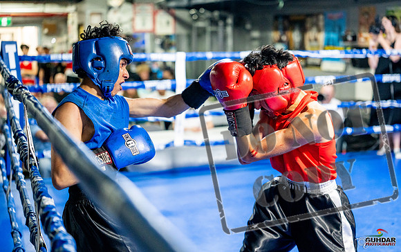 Cougar boxing June 7th 2025-0257