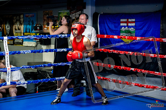 Cougar boxing June 7th 2025-0569