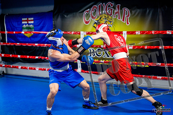 Cougar boxing June 7th 2025-0390