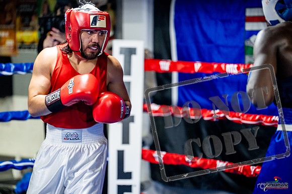 Cougar boxing June 7th 2025-0473