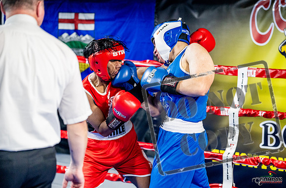 Cougar boxing June 7th 2025-0356