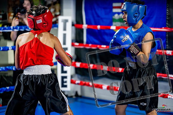 Cougar boxing June 7th 2025-0235