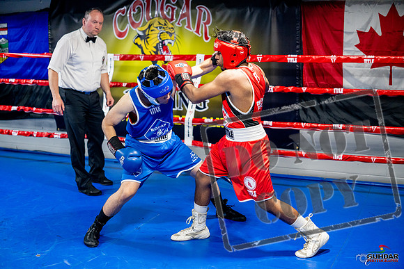Cougar boxing June 7th 2025-0299