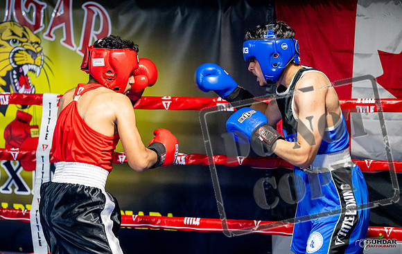 Cougar boxing June 7th 2025-0583
