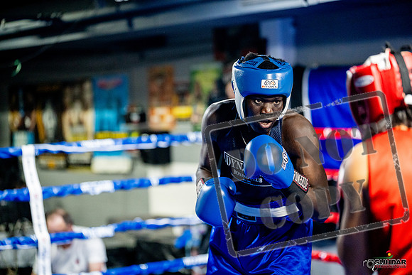 Cougar boxing June 7th 2025-0428