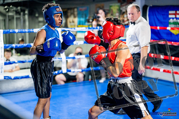 Cougar boxing June 7th 2025-0245