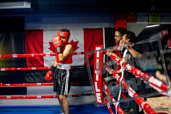Cougar boxing June 7th 2025-0566