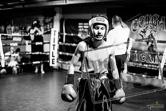 Cougar boxing June 7th 2025-0263
