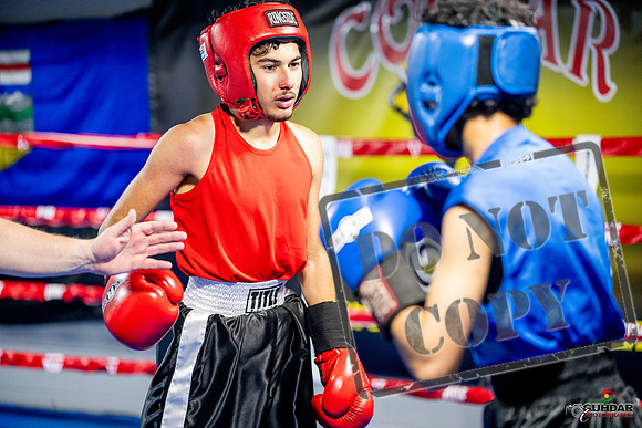 Cougar boxing June 7th 2025-0209