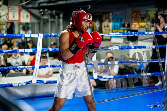 Cougar boxing June 7th 2025-0429