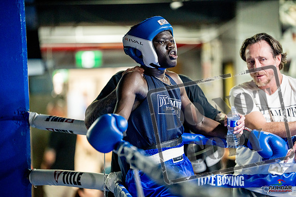 Cougar boxing June 7th 2025-0483
